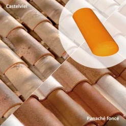 Terreal Tuiles About D'arêtier Conique (453XG)