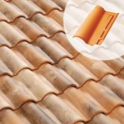 Tuiles Tuile Terre Cuite Romane Évolution Terreal 1RTE Vieilli Languedoc