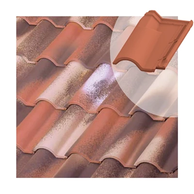 Tuiles Tuile Chatière TB-12 Tejas Borja - Nature Bidasoa - 440MM X 260MM 1 Tuiles Tuile Chatière TB-12 Tejas Borja - Nature Bidasoa - 440MM X 260MM