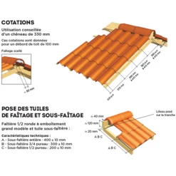 Tuiles Tuile Oméga 10 Terre Cuite à Double Emboîtement Réf.104 EDILIANS - Vieux Toit -Tuile Soldes Magasin cotation 2