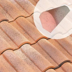 Tegulys Tuiles Fronton P/ Faîtière à Sec FR11