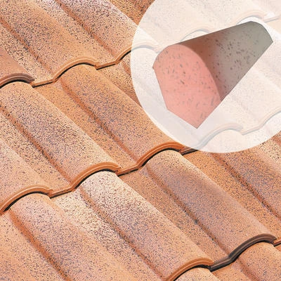 Tegulys Tuiles Fronton P/ Faîtière à Sec FR11 1 Tegulys Tuiles Fronton P/ Faîtière à Sec FR11