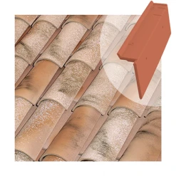Tuiles Tuile De Rive à Rabat Universelle Droit Tejas Borja - Coloris Nature Lamalou