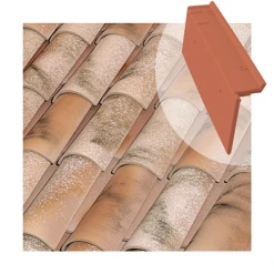 Tuiles Rive à Rabat Universelle Gauche Tejas Borja - Coloris Nature Lamalou