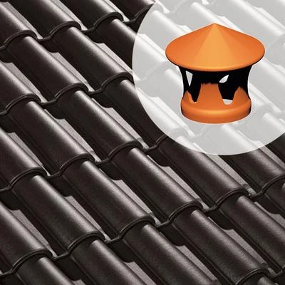 Terreal Tuiles Lanterne 63XT - Diam. 100 Mm 1 Terreal Tuiles Lanterne 63XT - Diam. 100 Mm