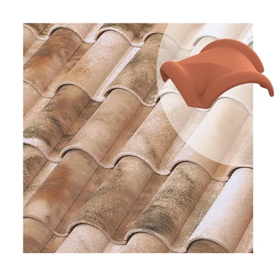 Tuiles Poinçon 3 Voies à Bourrelet Tejas Borja - Nature Lamalou - 325MM X 425MM 1 Tuiles Poinçon 3 Voies à Bourrelet Tejas Borja - Nature Lamalou - 325MM X 425MM