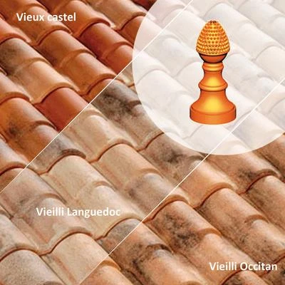 Terreal Tuiles Poinçon Pomme De Pin N°3 491XT 1 Terreal Tuiles Poinçon Pomme De Pin N°3 491XT