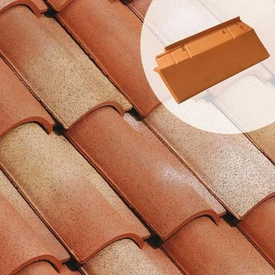 Edilians Tuiles Rive Bardelis "S" Gauche 1 Edilians Tuiles Rive Bardelis "S" Gauche