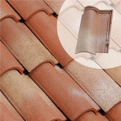 Tuiles Tuile Médiane Plus Terre Cuite à Double Emboîtement - EDILIANS 101+ - Paysage