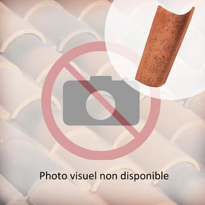 Edilians Tuiles Tuile Canal Charentaise à Tenon 1 Edilians Tuiles Tuile Canal Charentaise à Tenon