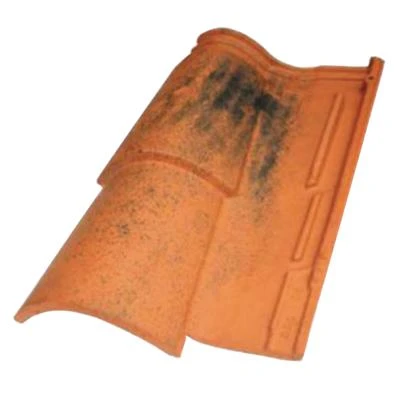 Terreal Tuiles Tuile Latitude 12 2 Terreal Tuiles Tuile Latitude 12 - Image 2