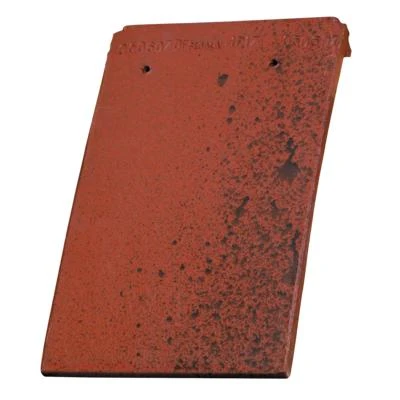 Terreal Tuiles Tuile Plate Sologne 2 Terreal Tuiles Tuile Plate Sologne - Image 2